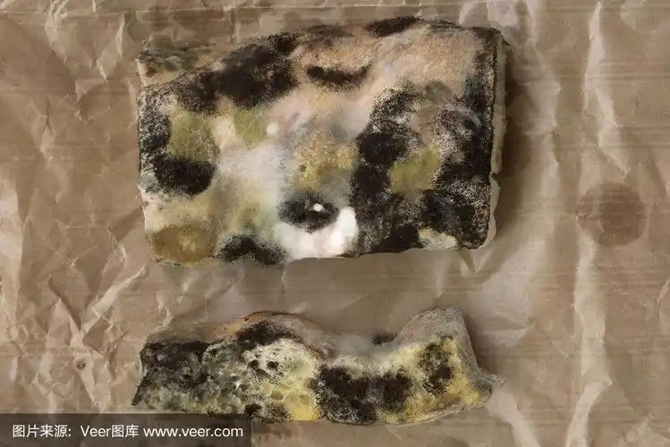 面包上的霉菌孢子特写