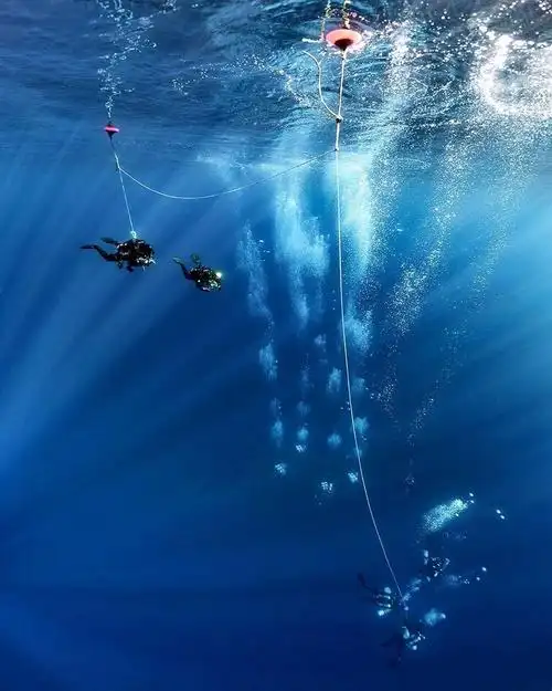 深海摄影|神秘莫测的深蓝海底