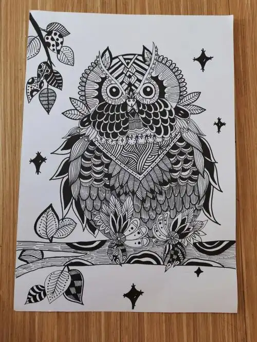 黑白线描猫头鹰