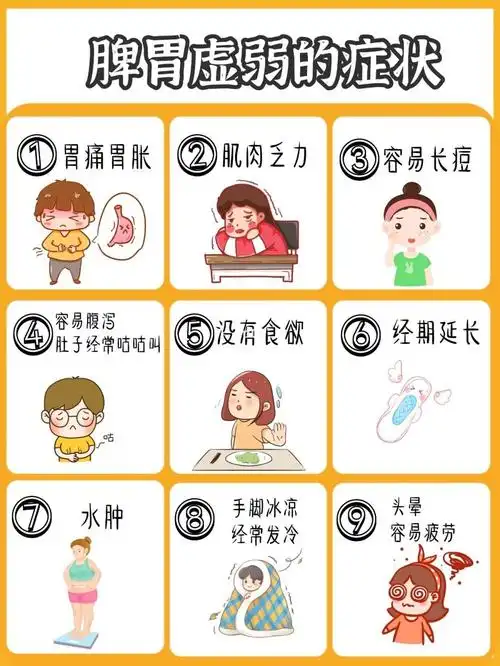 脾胃虚弱的症状