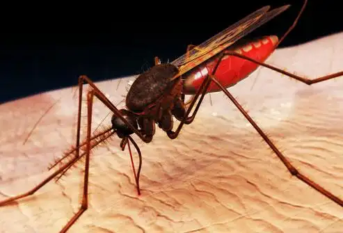 slideshow: 8 first aid kit items to treat scrapes, cuts, bug