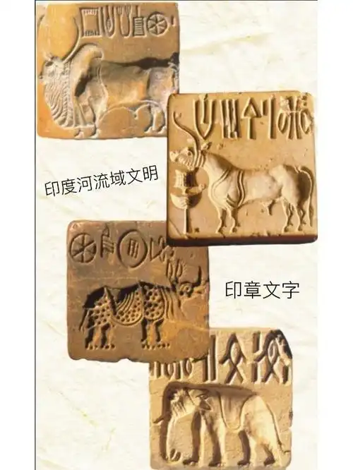 发现了罗纹织物印度河文明文字印度文字哈拉帕文明文物印度象形文字