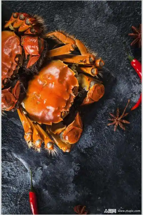 阳澄湖大闸蟹素材