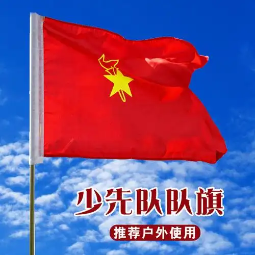少先队旗中国少年先锋队大队旗中队旗小队旗小学生少先队检阅旗