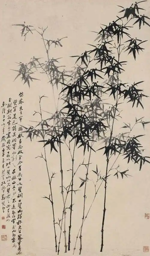 郑板桥竹子价格,多少钱一平尺?