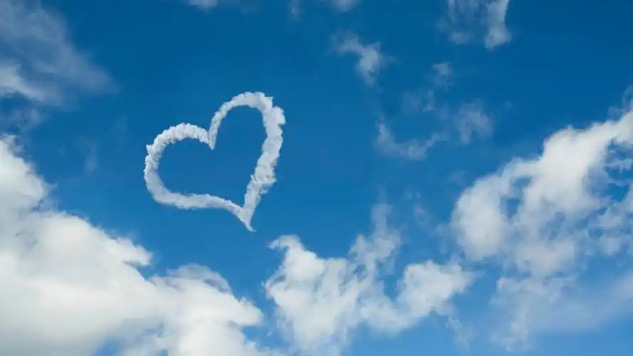 webshots2012年二月精美风光动物摄影宽屏壁纸壁纸图片