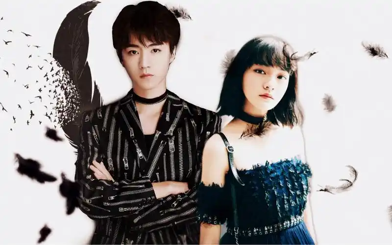 王俊凯文淇杀手这是爱就是爱全世界只有你明白