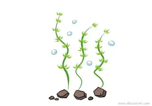 水草儿童画怎么画 水草简笔画简单又好看