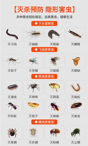 艾万克6号谷轮红叶六号蚂蚁跳蚤臭虫虫药床虱杀虫剂(卫生农药)