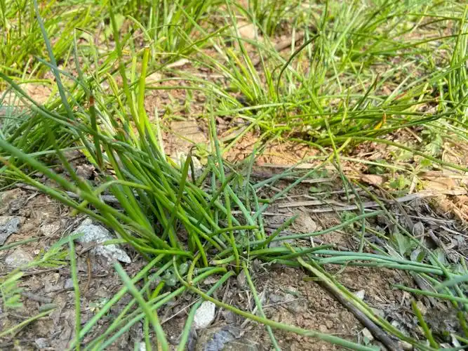 浦口老山老母猪沟
