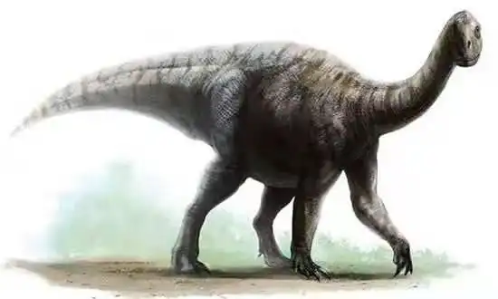 中华第一龙禄丰龙