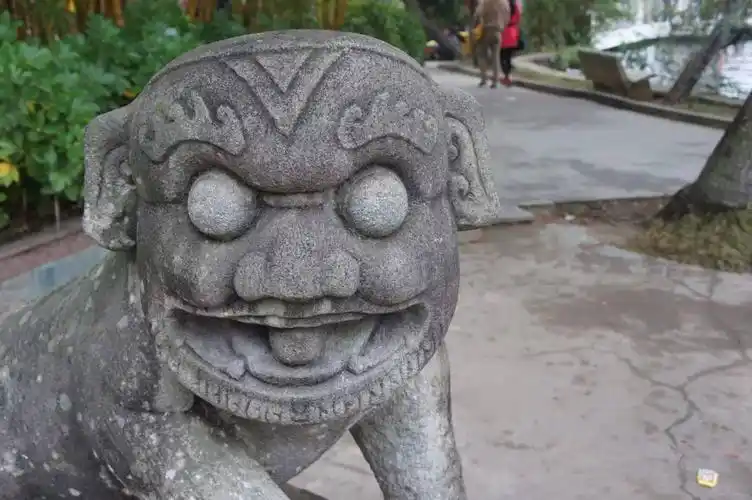 雷州半岛有一群狗有你绝对想不到的狰狞和凶猛