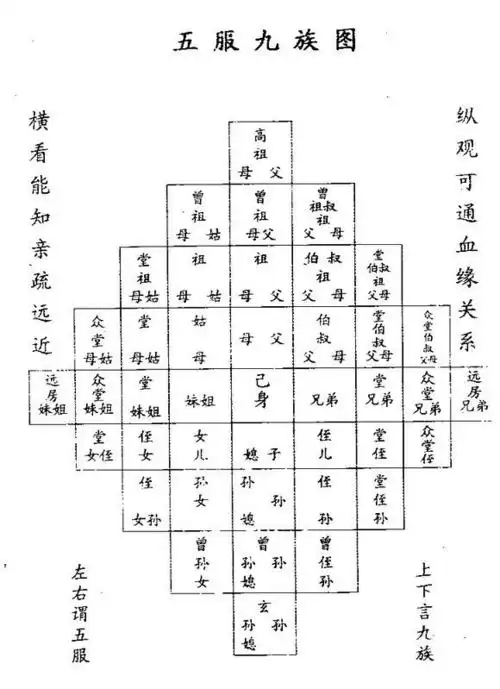 三代以内旁系血亲图三代以内旁系血亲示意图解