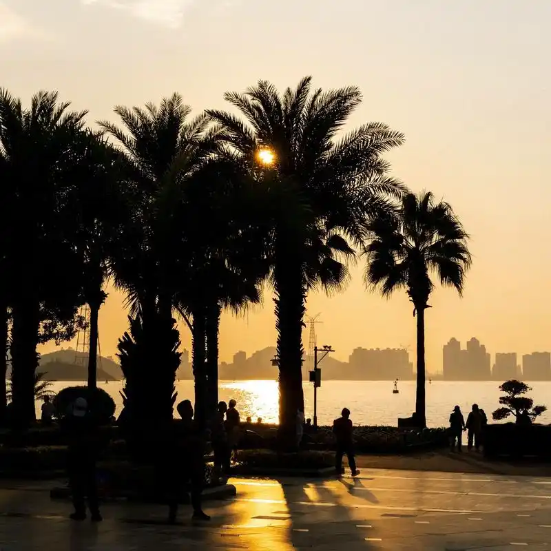 海湾公园|夕阳.#日落 #夕阳 #摄影 - 抖音