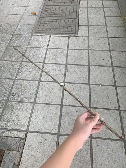 捡到一根好直的棍子