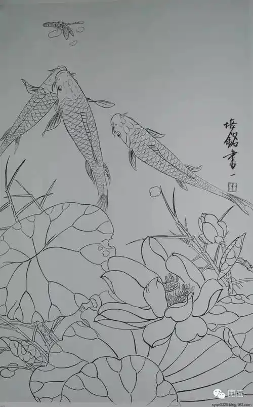 白描鲤鱼图工笔荷花红鲤鱼画法解析3.鼻孔 4.触须 5.腮孔 6.鳃盖 7.