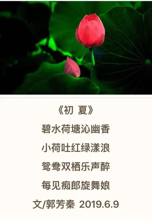 水城笔友群2019第四期美篇