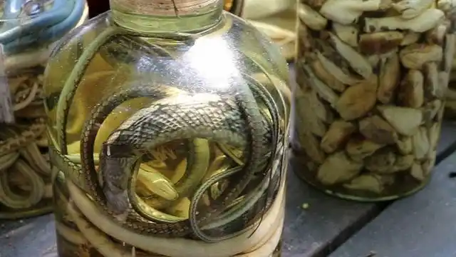 神秘的苗疆蛊虫,种蛊后会财源不断,真有这么灵验吗?