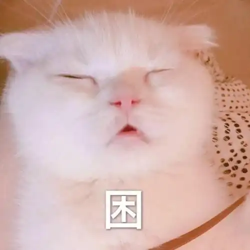 萌宠猫星人困想睡觉呆萌可爱gif动图_动态图_表情包下载_soogif