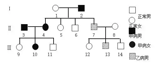 不考虑突变,回答下列问题. (1)甲病