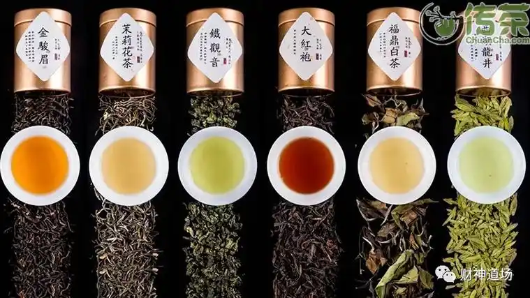 六大茶系~功能与简介大全