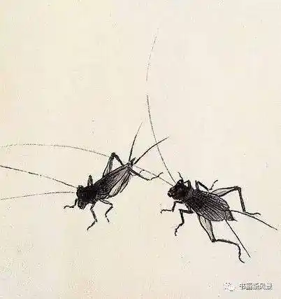 白石老人画蛐蛐,一幅200多万!_齐白石