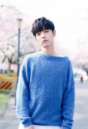 肖战蓝色毛衣樱花图片:温柔入我心