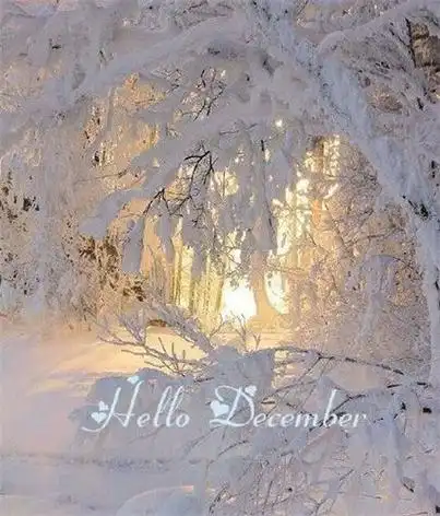 首页 唯美图片 唯美意境