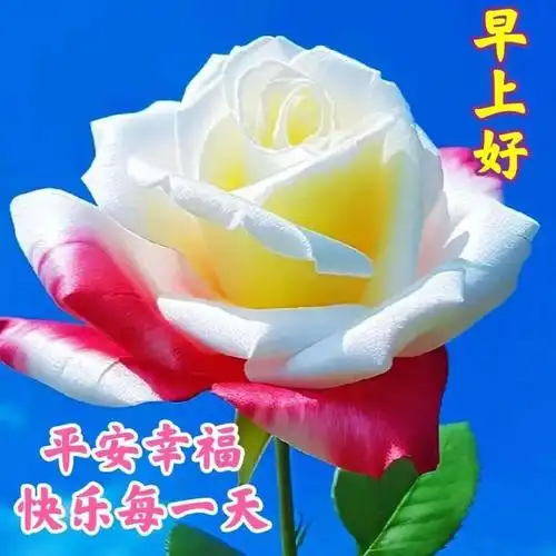 早安祝福图片带字带早上好问候语新的一天吉祥如意周二愉快