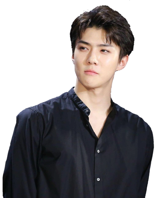 exo 吴世勋 橙光素材 立绘