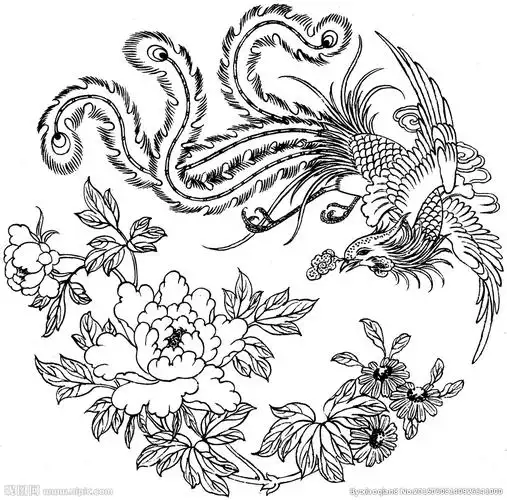 凤凰手绘图片