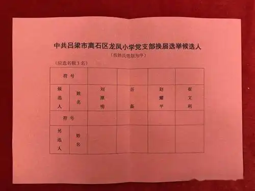 给党员发放选票监票,计票员清点人数及选票数量进行大会选举07本次