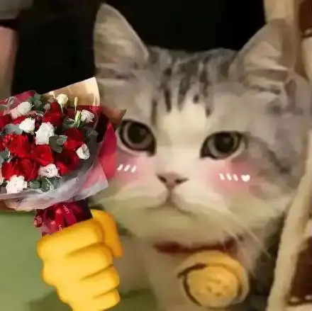 (猫猫拿花表情包)_猫猫_拿花表情