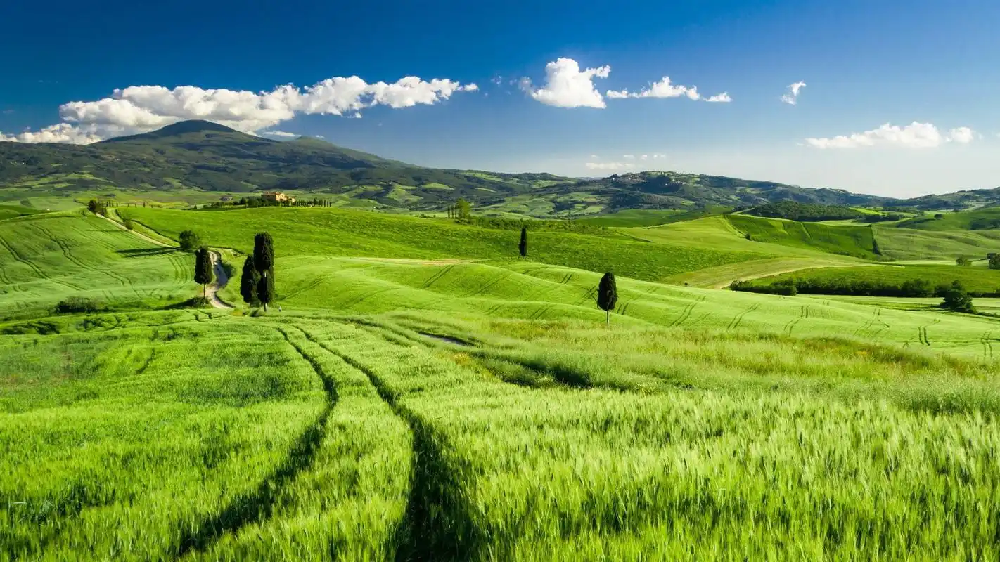 清新绿色田园自然风景高清图片桌面壁纸