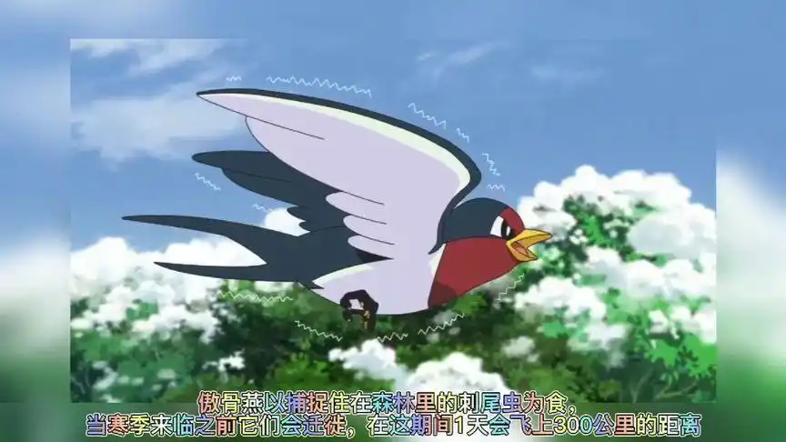 宝可梦图鉴308 傲骨燕