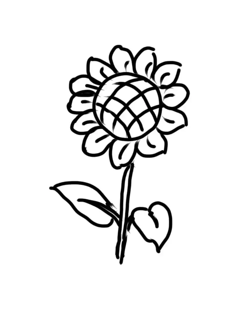 我来介绍一下关于向日葵的画法0606,向日葵其实就是那几步,简笔
