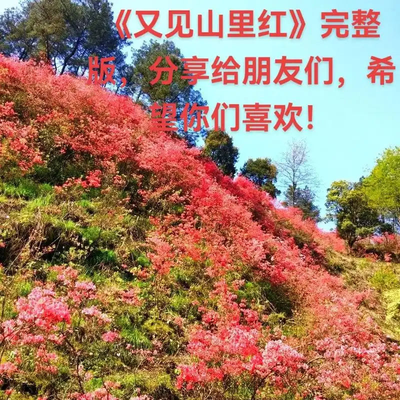 祁隆的一首《又见山里红》完整版,分享给亲们,希望你们喜欢!# - 抖音