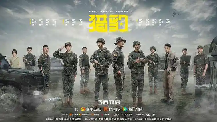 电视剧《猎豹》海报