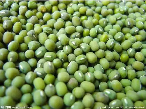 各种豆子新建 microsoft powerpoint 97-2003 演示文稿ppt