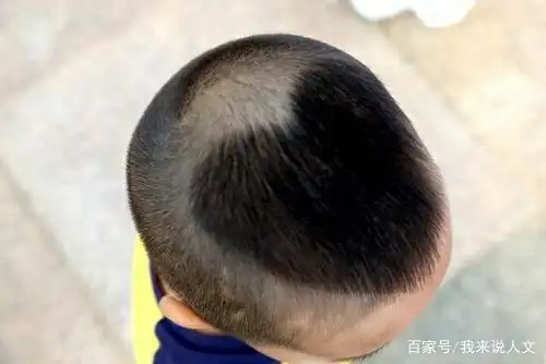 不少人好奇:郭德纲的"桃心形"发型究竟有何讲究?