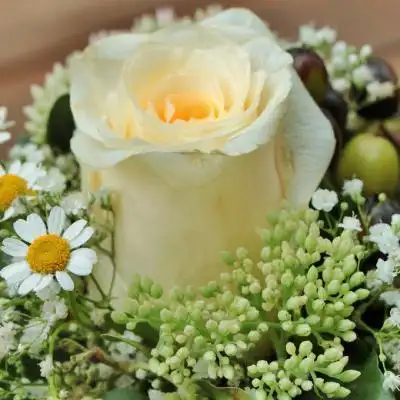 玫瑰花微信头像图片,最新唯美玫瑰花朵图片