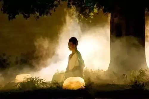 2016觉之路游学之旅回顾02证悟的菩提树下你会是那个人么