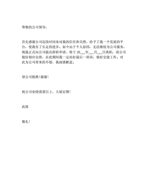 简短的个人辞职信怎么写docx2页