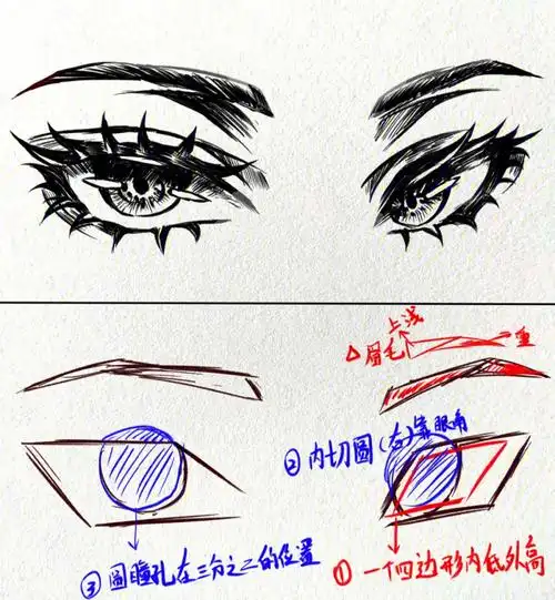详细侧脸眼睛画法教程