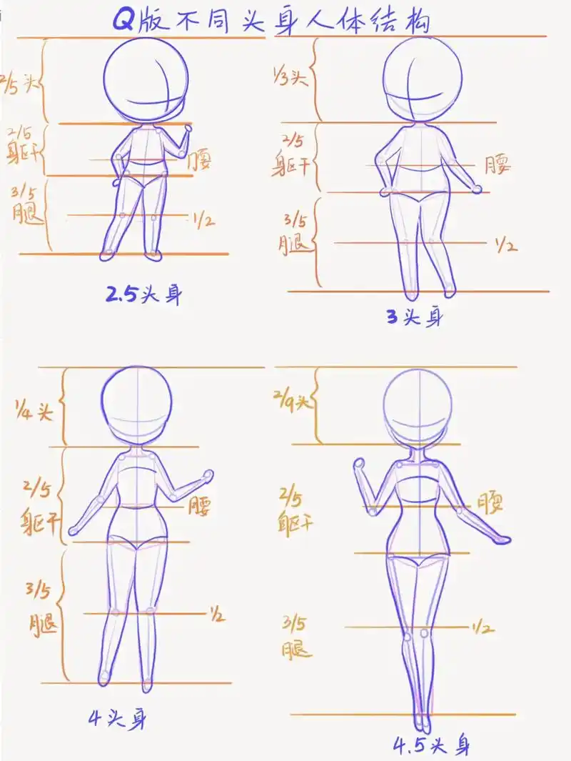 q版人物不同比例身体结构画法#人体结构 #q版人物 #绘画  - 抖音