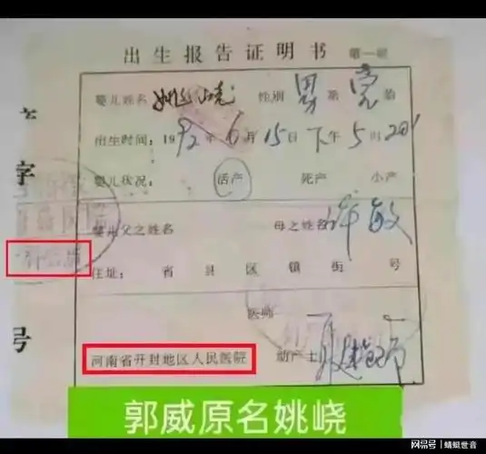 许妈|许宝|姚爸|出生证明|出生医学证明_网易订阅