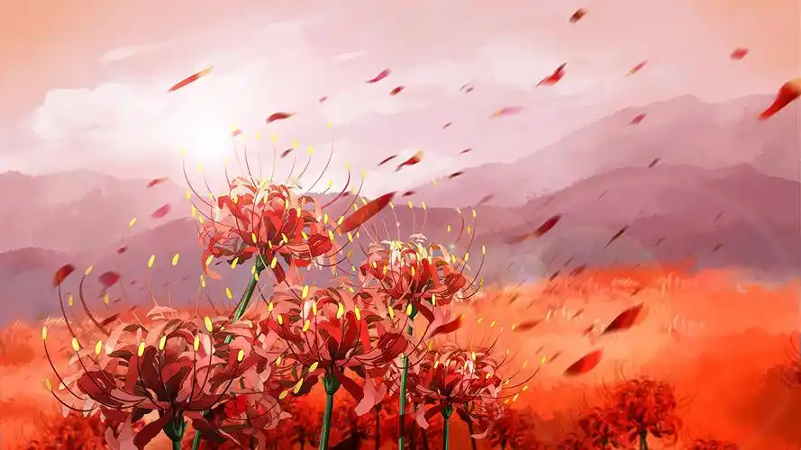 彼岸花的花语是什么