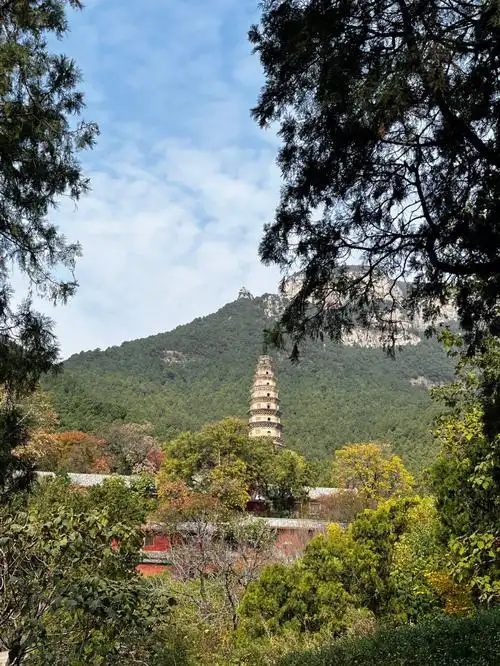 吗不就应该和知己好友去看喜欢的风景更何况还当司机请吃饭#灵岩寺