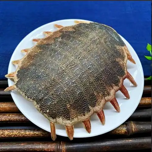 神奇妙用的中药"鳖甲"