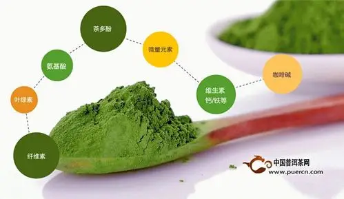 茶叶儿茶素保健及药理功能研究新进展(食品科学)